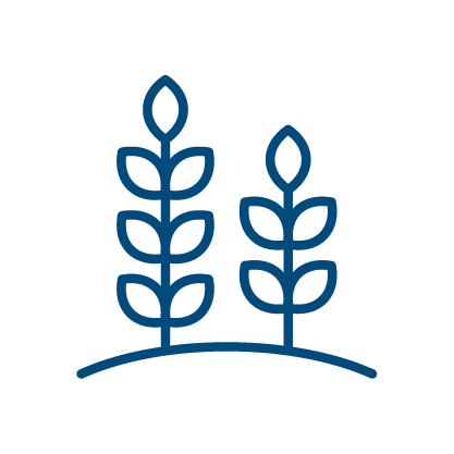 Kroviniai